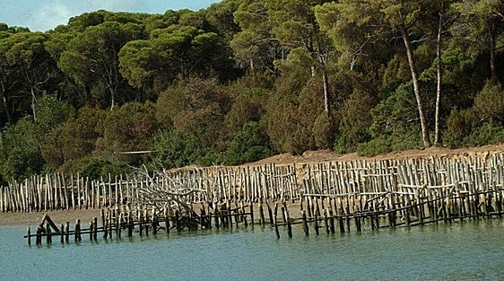 Spanish government approves 70-million-euro aid package for Doñana National Park towns and villages