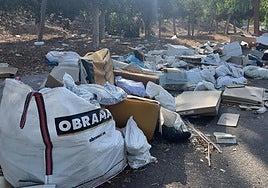 Image taken recently in the vicinity of Verdecora in Plaza Mayor