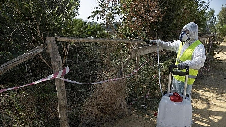 Efforts to control West Nile fever ramp up after virus detected in Malaga