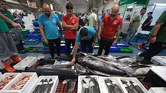 Fish sales leap by 30% during summer months at the biggest wholesale market serving Malaga and the Costa del Sol