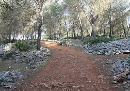 From the town, you can find yourself surrounded by nature within just a few minutes.