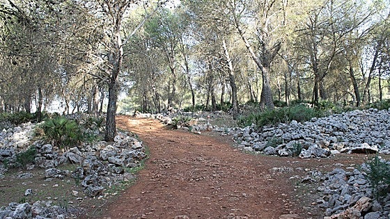 Gilena: The Seville town set between lush forest and olive groves