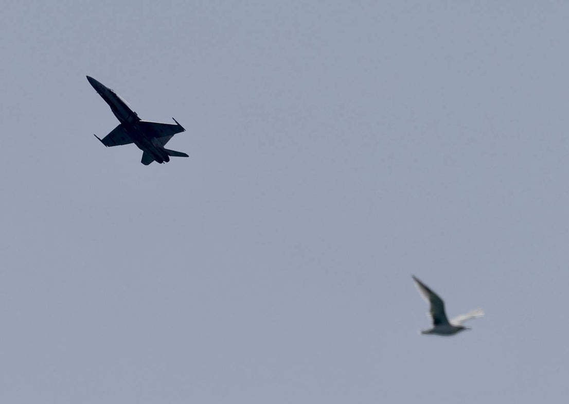 International Torre del Mar Air Show 2024 on the Costa del Sol, in pictures