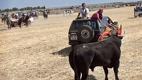 Young man dies after being gored during bull run in Spain