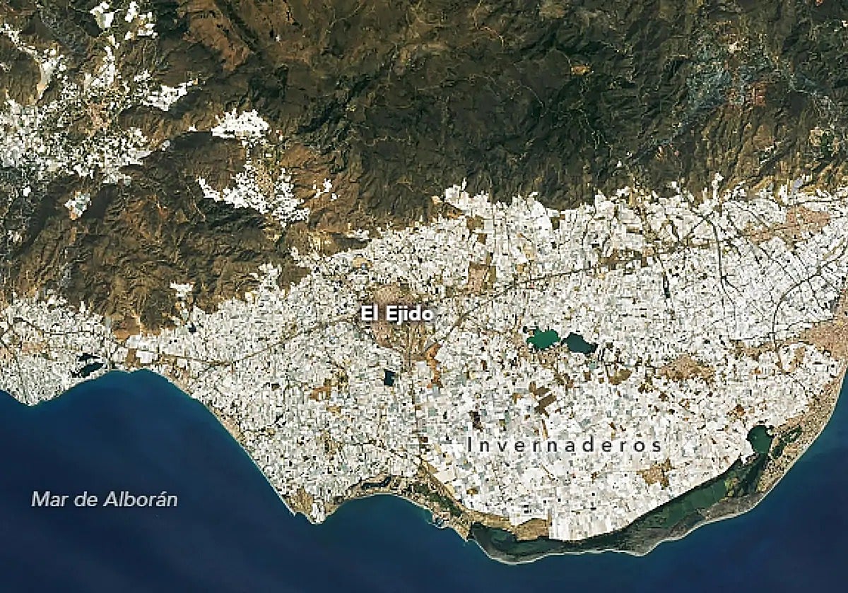 Landsat 9 satellite image of Almeria's greenhouses.