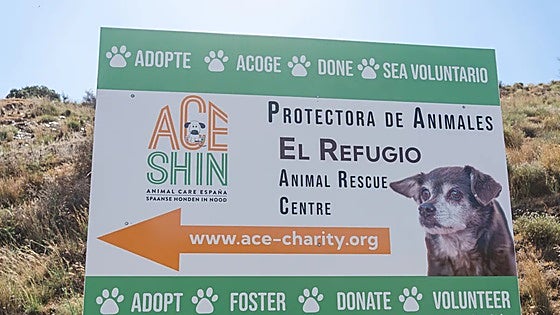 Mijas rescue centre stages charity lunch to raise funds for neglected and abused animals