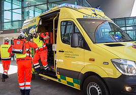 SAS rolls out 338 new vehicles to health centres across Andalucía to update its current fleet