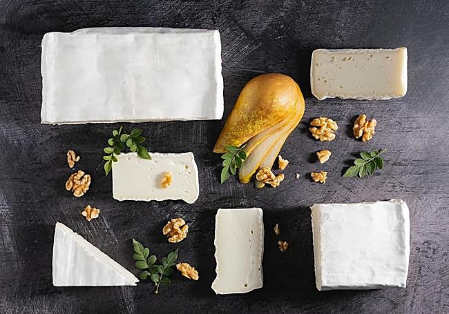 Briqueta de Cabra cheese, from Cabraline (Antequera).