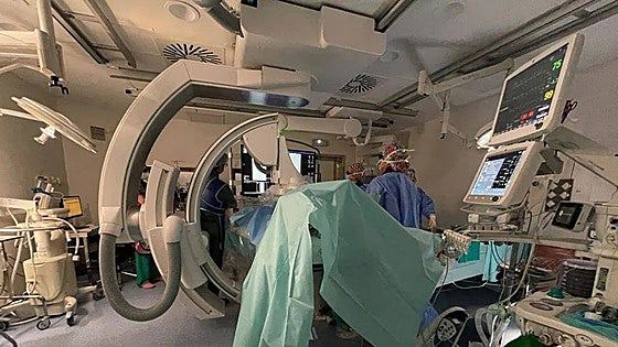 Andalucía registers around 8,500 cases of sepsis a year, of which 3,000 are serious or fatal