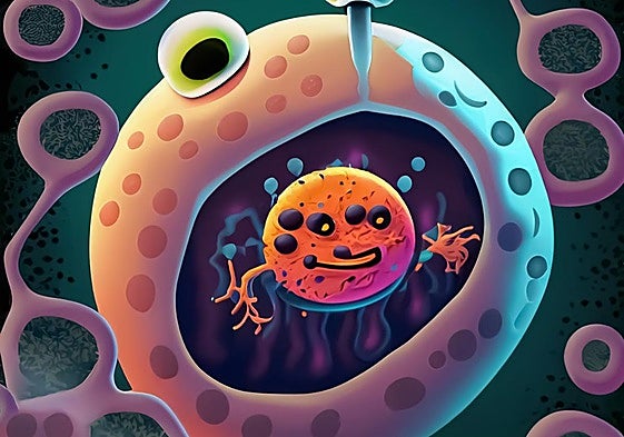 What is autophagy and why it can help you age better?