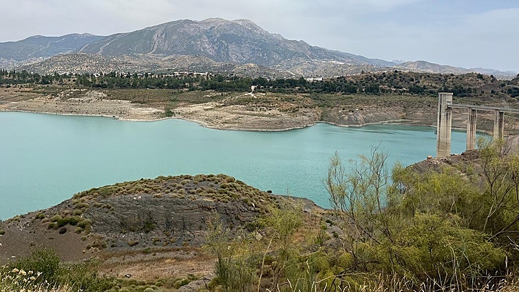 Malaga's subtropical fruit sector calls for extension of emergency irrigation measures into October