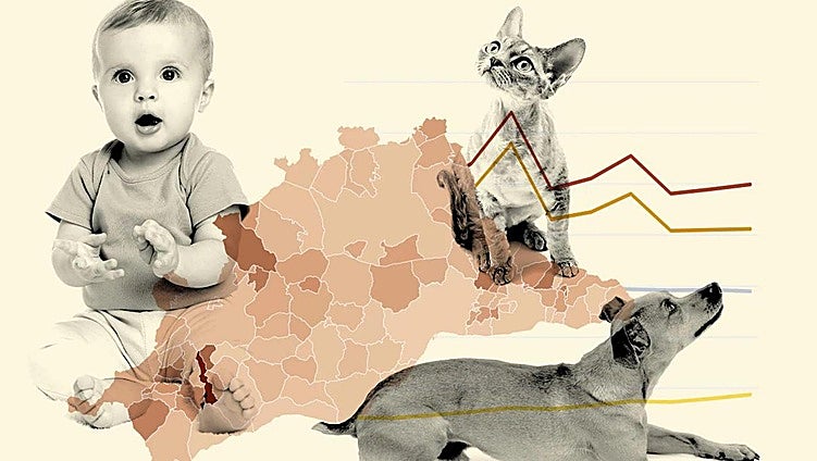 Pets twice outnumber children in 86 of the 103 municipalities across Malaga province, and this is why...