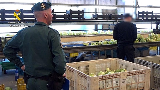 Guardia Civil officers uncover huge organic produce scam in Andalucía