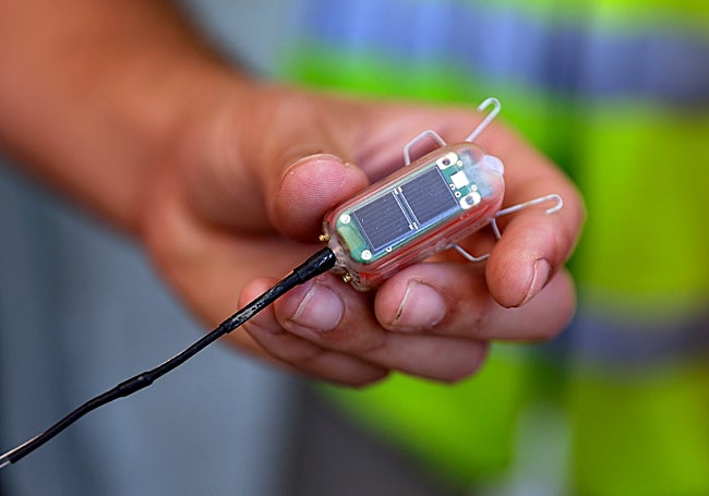 The GPS device allows the handlers to know the bird's position, speed, etc. in real time.