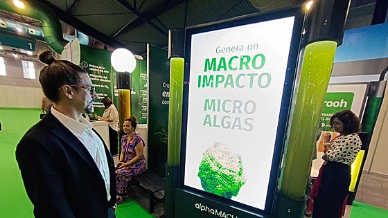 Algae air-purifying lampposts and climate refuges: Is this the future for cities in Spain?