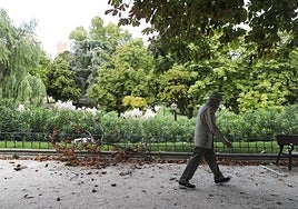 A man walks past a fallen tree branch as a result of storm Aitor which has brought strong gusts of wind to Spain.