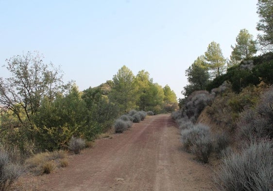 This trail is ideal for enjoying the first days of autumn.