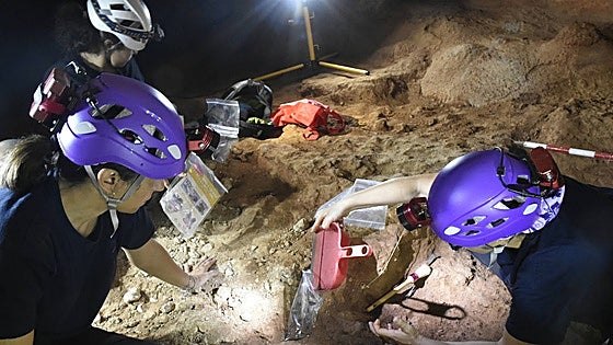 The Costa del Sol cave that went from being squatted and vandalised to key to discovering the last Neanderthals in Spain