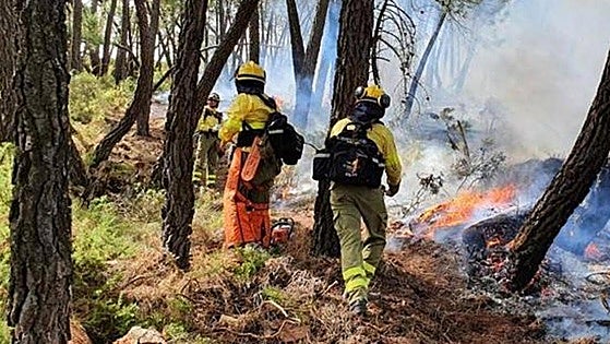 More than 300 jobs up for grabs with Andalucía's forest fire brigade