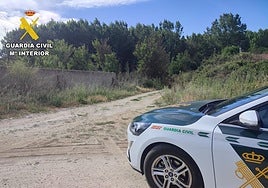 Man arrested in Spanish town for bludgeoning a dog to death