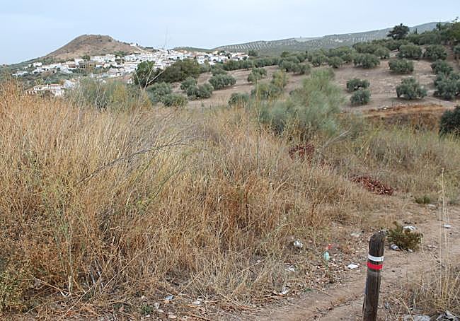 Narrow path to descend.