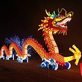 Tickets go on sale for first Malaga lantern festival: when is it on and how much will it cost?