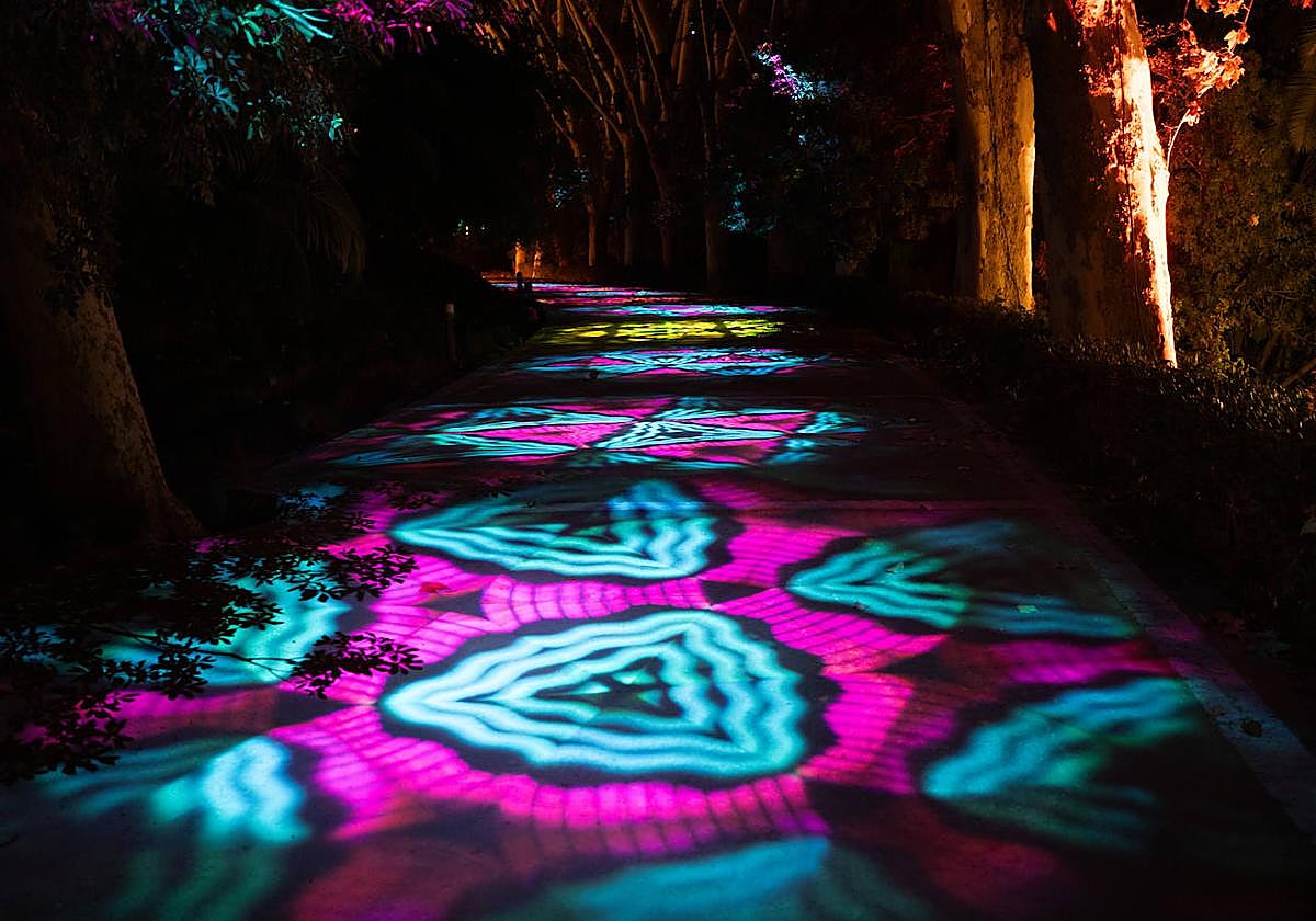 The new show will start on 29 November.