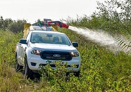 Mosquito-borne West Nile virus detected in another three horses in Malaga province