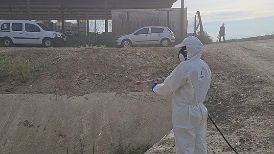Parks and wetlands fumigated in Malaga town as fight against West Nile virus intensifies