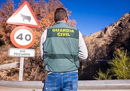 An officer from the Guardia Civil's Seprona nature protection unit in Granada province.