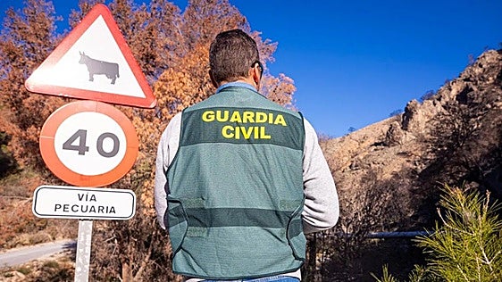 Deer that killed a 91-year-old in Spain was kept as a pet on the deceased man's farm