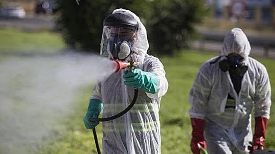 These are the latest West Nile virus risk levels declared in Malaga province