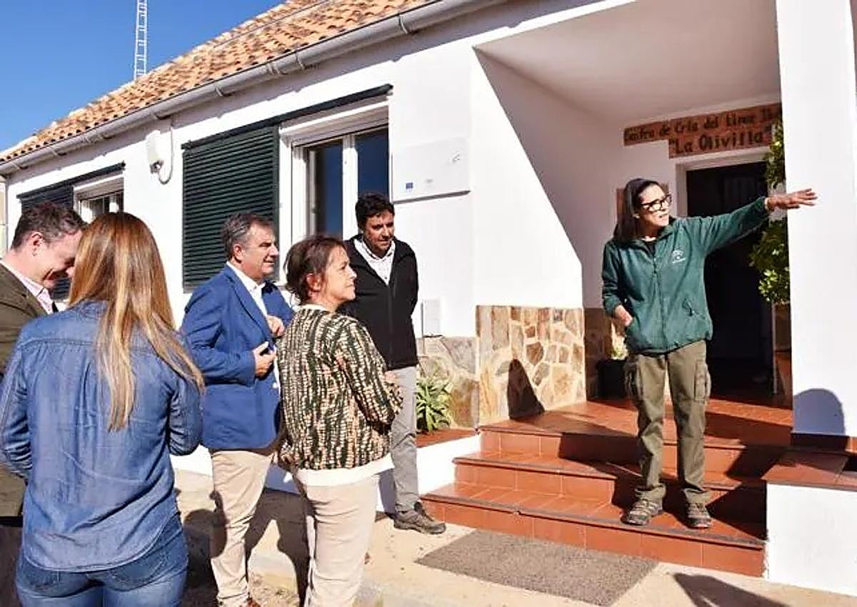 Imagen secundaria 1 - Iberian lynx breeding centre in Andalucía has reintroduced 100 of the 'vulnerable' animals to the wild since it opened