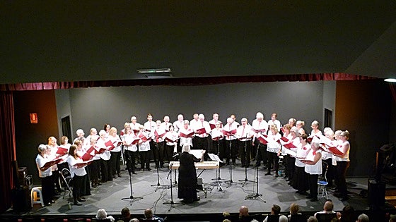 Costa choir helps bring a smile to faces of underprivileged children this Christmas
