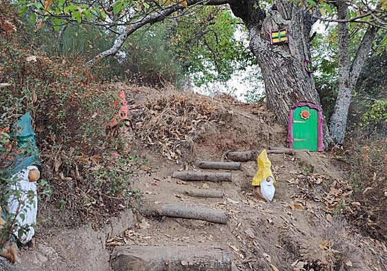 The 'enchanted forest' in Parauta has become one of the main tourist attractions in the area.