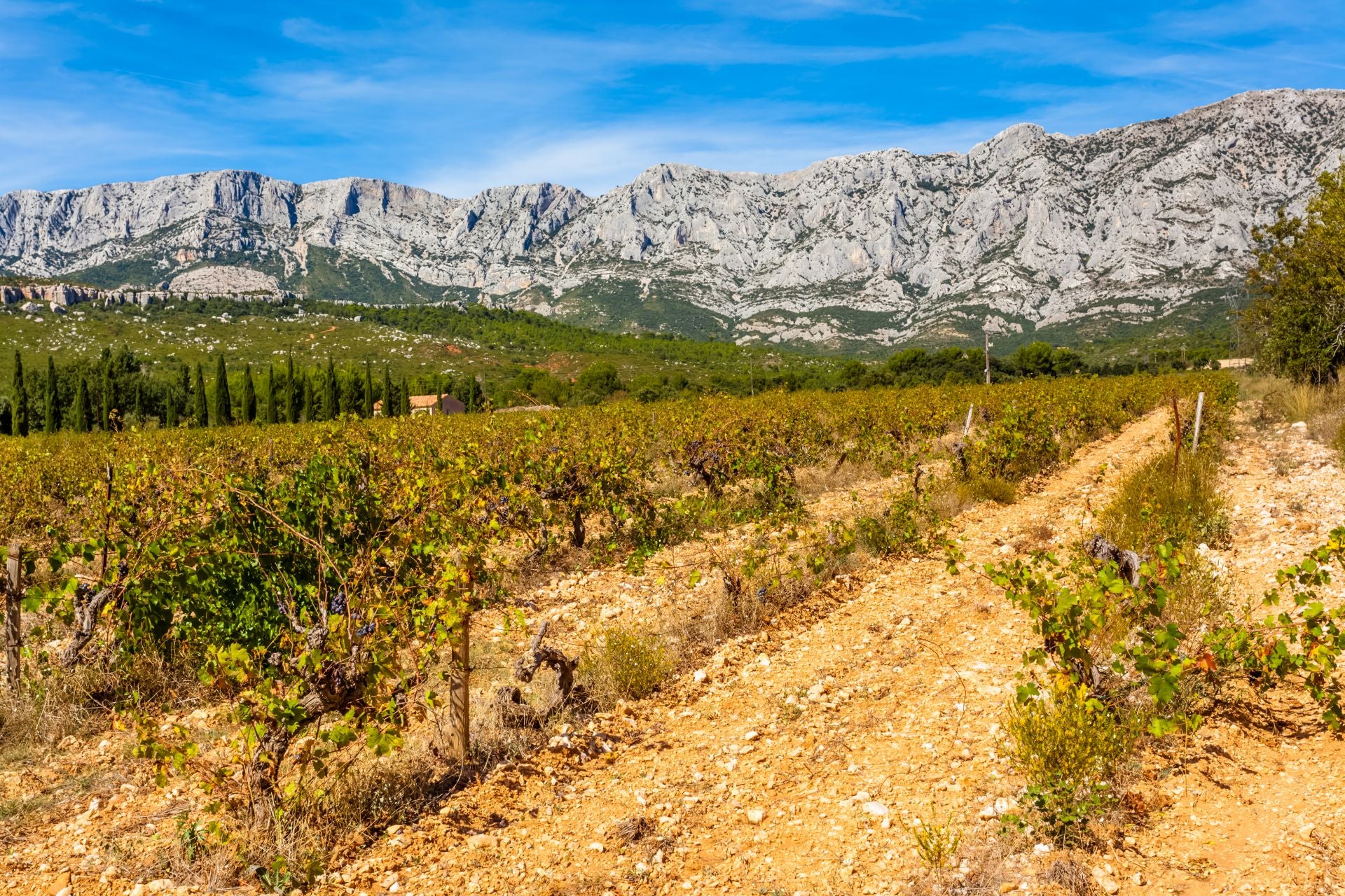 Provencal countryside views alongside the mountain, as painted by Paul Cézanne.