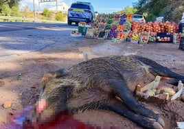 The large animal was removed from the roadside by municipal services.