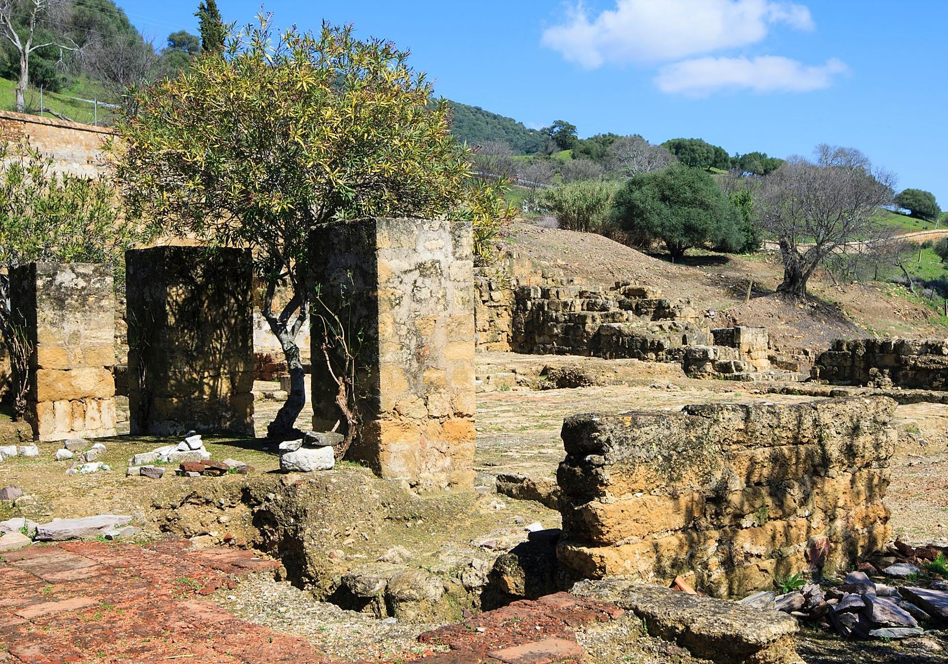 The ruins of Medina Azahara.