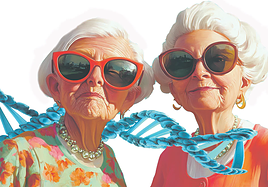 Eating less and genetics help you to live longer, but which factor carries the most weight?