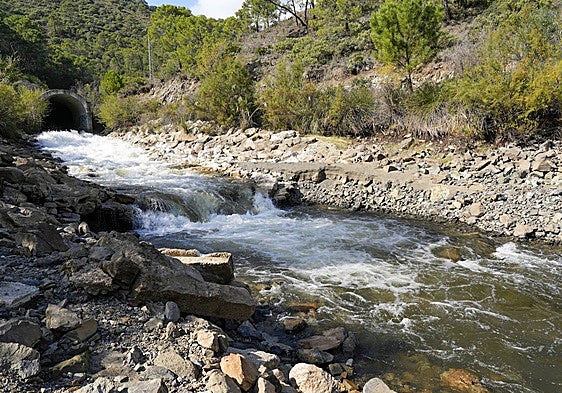 Current level of key Costa del Sol reservoir after 'Dana' downpours lifts it above drought threshold, but for how long?