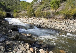 Water entering the La Concepción reservoir near Marbella from the Guadaiza transfer, on Monday.