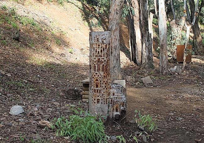 Carved eucalyptus tree stumps.
