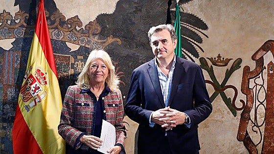 Marbella's budget for 2025 foresees revenue of 414 million and 405 million in expenditure