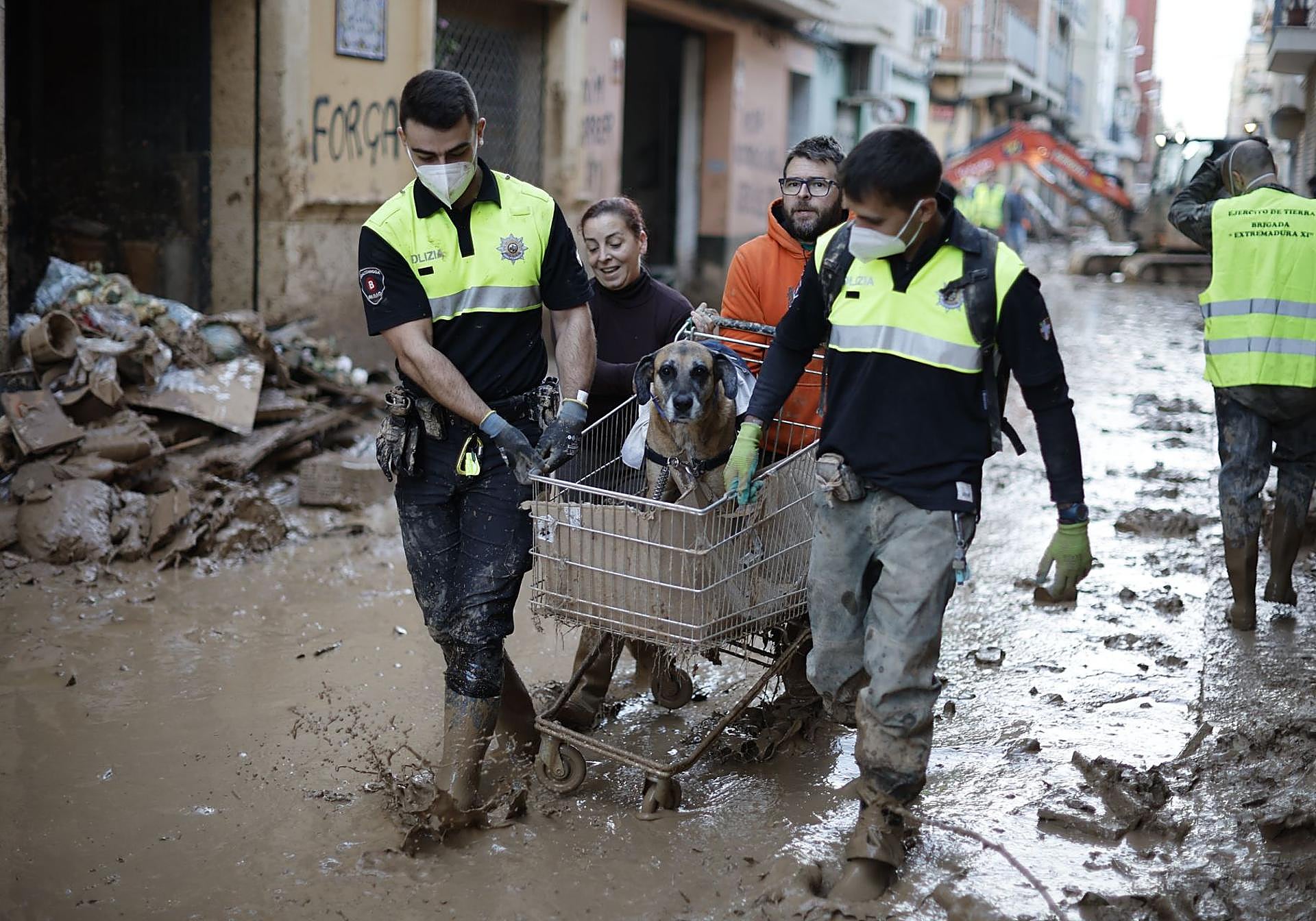A couple and their pet are helped in Paiporta this week.