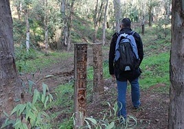 This walk begins by passing through what is known as the 'magic forest'.