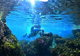 An underwater photographer in the area of the Maro-Cerro Gordo cliffs.