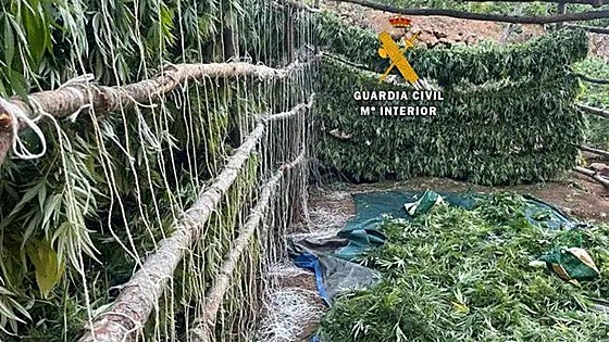 Police uncover massive marijuana plantation in mountains behind the Costa del Sol