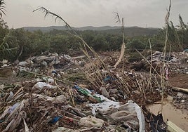 Accumulation of reeds and debris in a crop field.