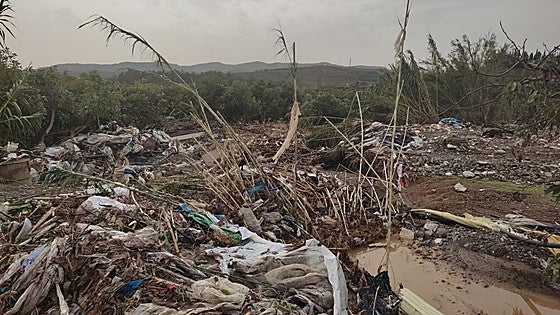 Farmers' association warns of 'serious damage' to crops in Malaga province following the latest 'Dana' storm