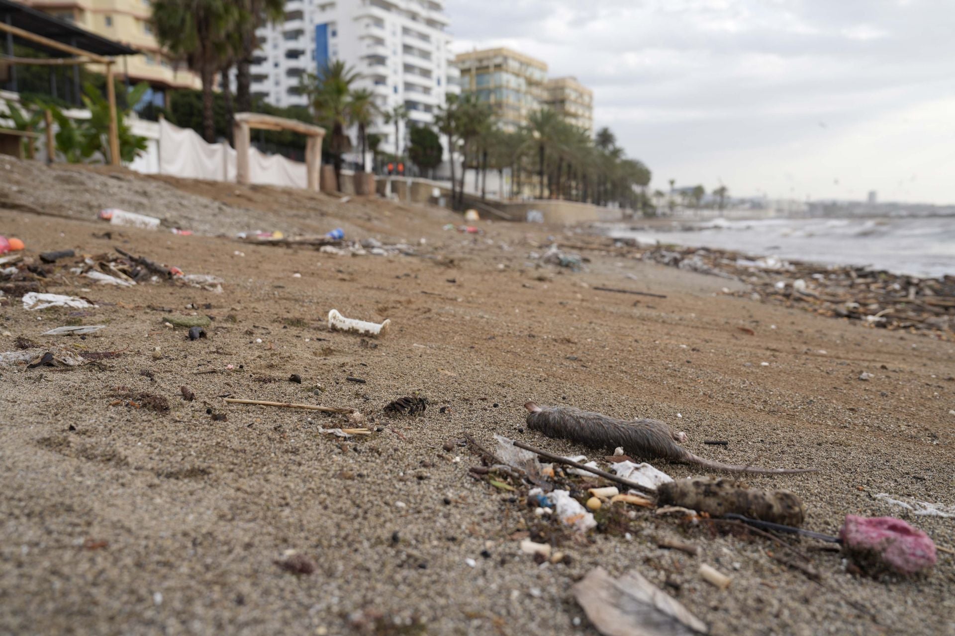 Playas de Marbella tras la DANA.